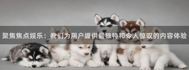 赢彩网2平台登录：聚焦焦点娱乐：我们为用户提供最独特和令人惊叹的内容体验