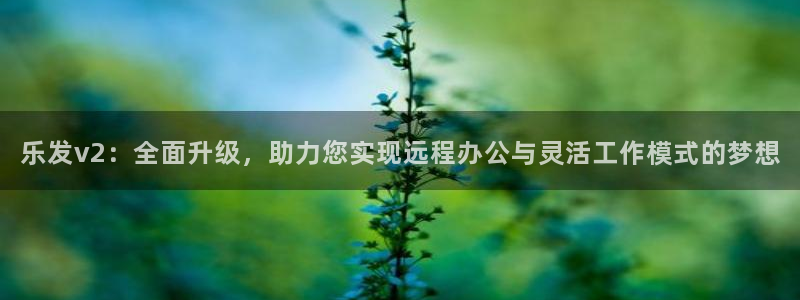 赢彩网2登录：乐发v2：全面升级，助力您实现远程办公与灵活工作模式的梦想