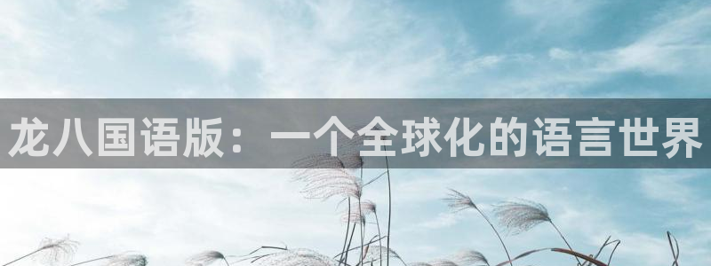 赢彩网体育代理：龙八国语版：一个全球化的语言世界