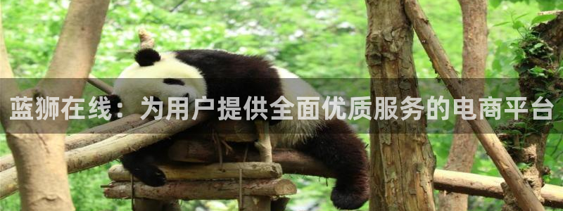 赢彩网2注册：蓝狮在线：为用户提供全面优质服务的电商平台