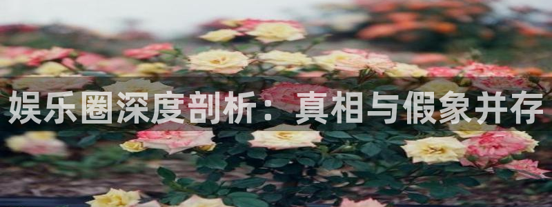 赢彩网3注册：娱乐圈深度剖析：真相与假象并存