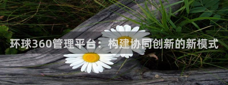上海赢彩网汽车电子有限公司：环球360管理平台：构建协同创新的新模式