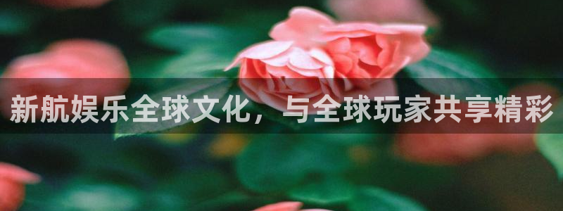 赢彩网体育eon：新航娱乐全球文化，与全球玩家共享精彩