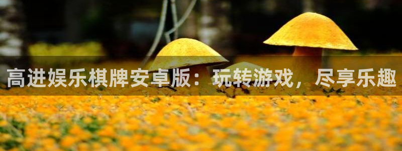 佛山市南海赢彩网机电仪器有限公司：高进娱乐棋牌安卓版：玩转游戏，尽享乐趣