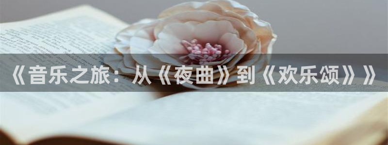 赢彩网平台：《音乐之旅：从《夜曲》到《欢乐颂》》