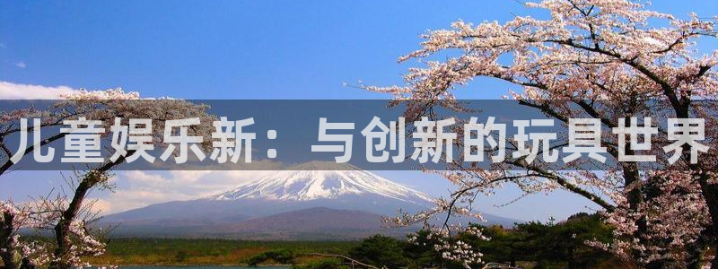 赢彩网体育官网登录：儿童娱乐新：与创新的玩具世界
