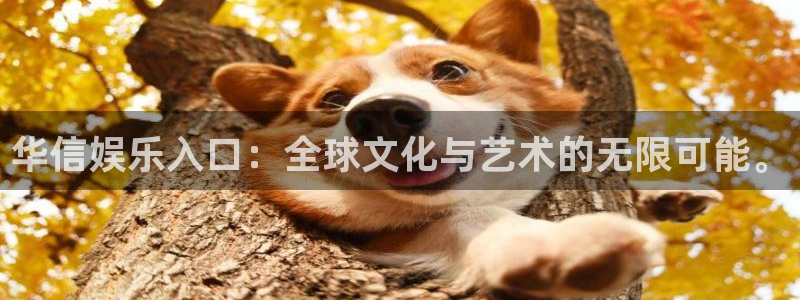 赢彩网体育合法嘛：华信娱乐入口：全球文化与艺术的无限可能。