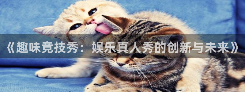 赢彩网注册：《趣味竞技秀：娱乐真人秀的创新与未来》