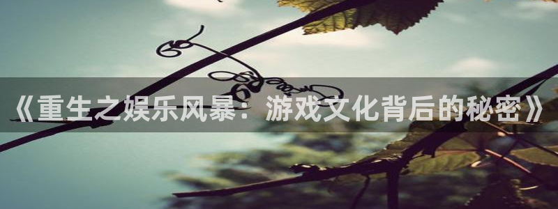 赢彩网凯捷开号链接：《重生之娱乐风暴：游戏文化背后的秘密》