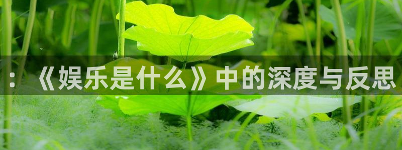赢彩网体育4：：《娱乐是什么》中的深度与反思