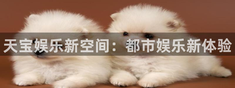 赢彩网环保：天宝娱乐新空间：都市娱乐新体验