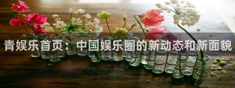 赢彩网体育官网：青娱乐首页：中国娱乐圈的新动态和新面貌