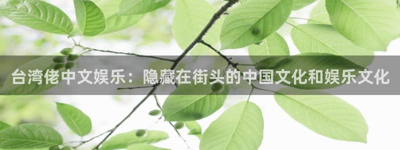 赢彩网f凯捷平台在线注册：台湾佬中文娱乐：隐藏在街头的中国文化和娱乐文化