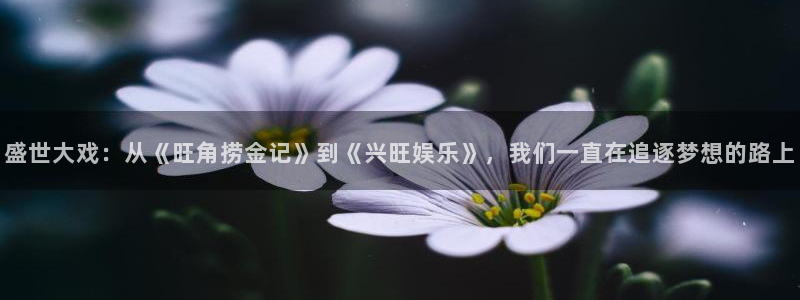 上海赢彩网汽车电子有限公司：盛世大戏：从《旺角捞金记》到《兴旺娱乐》，我们一直在