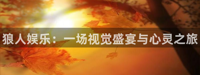 东莞市赢彩网电子科技有限公司：狼人娱乐：一场视觉盛宴与心灵之旅
