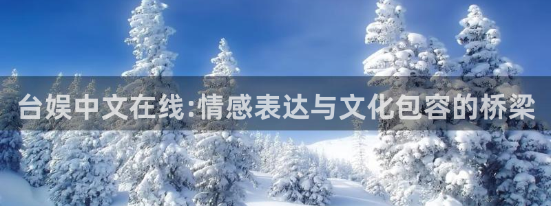 上海赢彩网汽车电子有限公司：台娱中文在线:情感表达与文化包容的桥梁